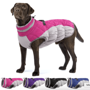 dog puffer jacket